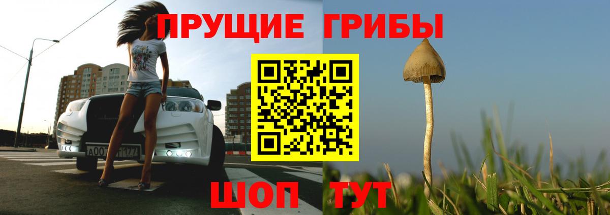 Арсеньев  Галлюциногенные грибы Psilocybe  Псилоцибиновые грибы GOLDEN TEACHER  Вход с VPN 
