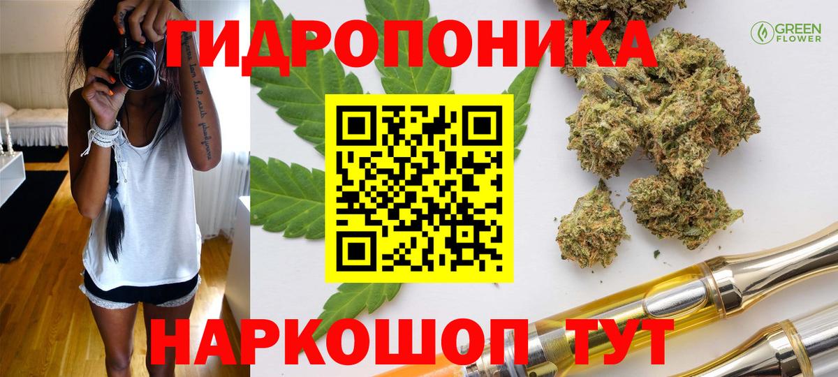 Канабис сатива Арсеньев